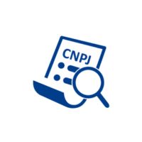 Consulta CNPJ